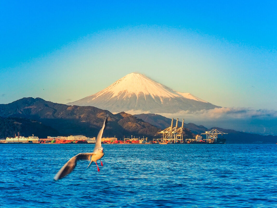 MITSUI E&S develops smart platform for Shimizu Port