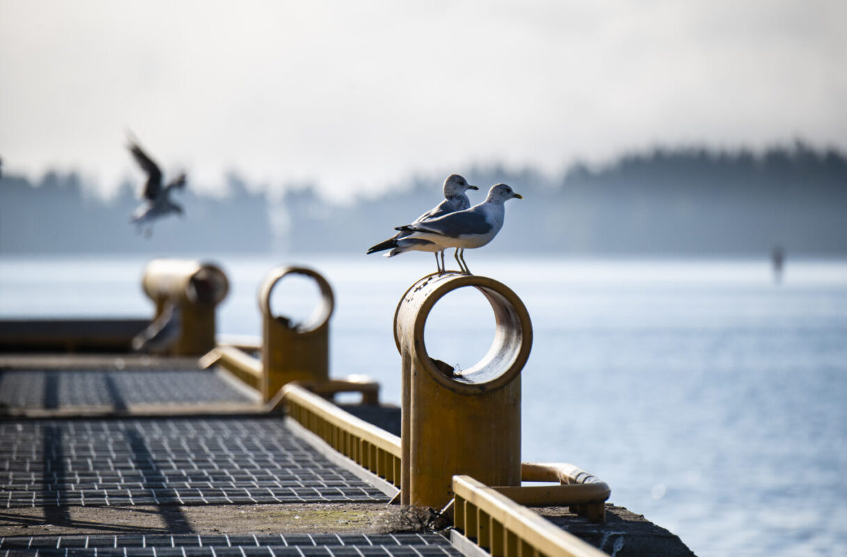 Port of Helsinki publishes sustainability report