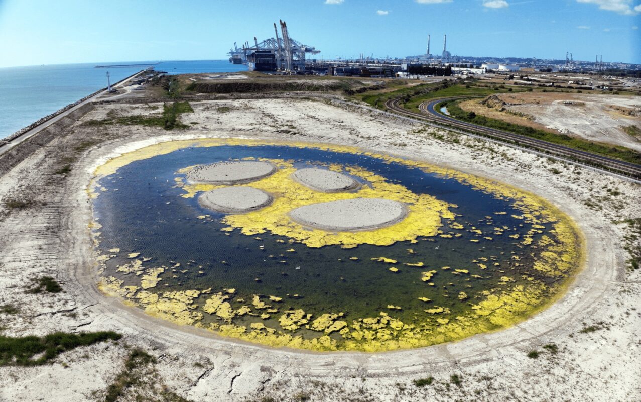 HAROPA PORT wetland draws birdlife at Le Havre site